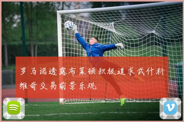 罗马诺透露布莱顿积极追求武什科维奇交易前景乐观