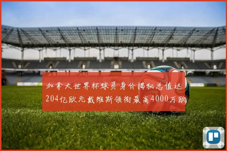 加拿大世界杯球员身价揭秘总值达204亿欧元戴维斯领衔最高4000万欧